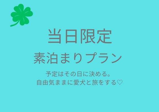 〜 当日NET予約限定 〜 自由気ままに愛犬と浜名湖への旅♪ 《素泊まり》